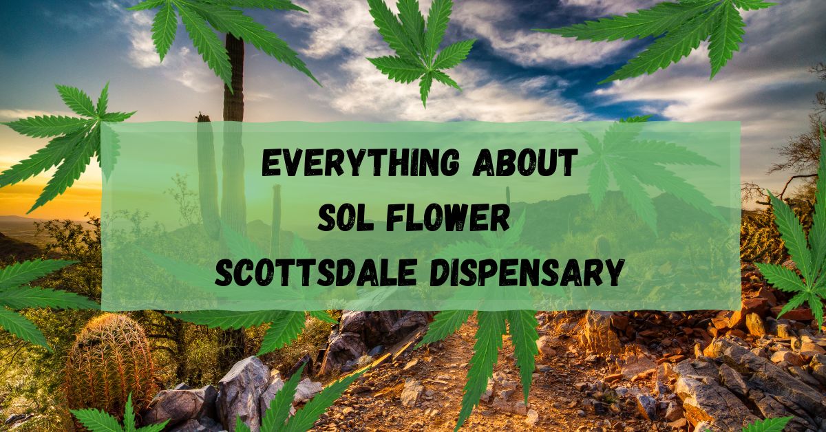 ​ Everything About Sol Flower Scottsdale Dispensary